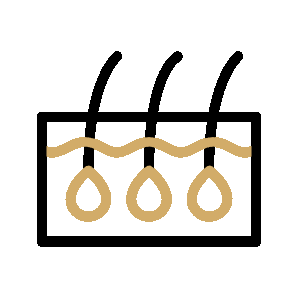 Physician and Best Hair Transplant Surgeon